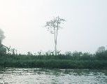 Foto: Women of the Tribe and Search of Freshwater Dolphins in Borneo